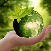 Fondo per il sostegno alla transizione industriale in termini di tutela ambientale