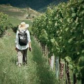 Turismo enogastronomico, nasce il libro bianco sulle professioni Turismo enogastronomico, nasce il libro bianco sulle professioni