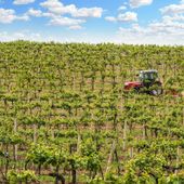 Confagricoltura: bene il piano triennale, ora semplificare le procedure per la manodopera estera Confagricoltura: bene il piano triennale, ora semplificare le procedure per la manodopera estera