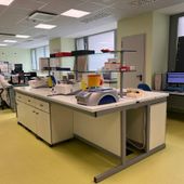 Progetto Plasma 2025-2026