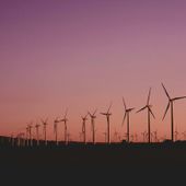 Le imprese e le energie rinnovabili Le imprese e le energie rinnovabili