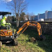 Riqualificazione fluviale lungo il Basento. Messe a dimora 120 nuove piante come compensazione ambientale