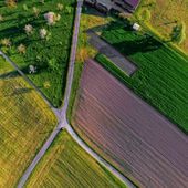 Mercosur, Confagricoltura: perplessità sull’accordo. Valuteremo ogni azione per tutelare le aziende agricole Mercosur, Confagricoltura: perplessità sull’accordo. Valuteremo ogni azione per tutelare le aziende agricole