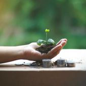 La sostenibilità come nuovo standard del merito creditizio