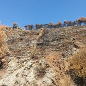 Dissesto idrogeologico a Monreale, via libera ai lavori per tre contrade a rischio. Stanziati 5 milioni di euro