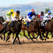 Foto: https://pixabay.com/it/photos/cavalli-da-corsa-wyoming-bassi-4062298/