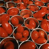 Pomodoro italiano regina delle esportazioni, ma arriva il primo calo dopo dieci anni Pomodoro italiano regina delle esportazioni, ma arriva il primo calo dopo dieci anni