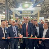 Agroalimentare, la Sicilia conquista il "Tutto Food" di Milano: 44 aziende in corsa per il mercato globale