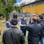 Zootecnia lucana, 5,6 milioni dal governo regionale per l'assistenza tecnica e la prevenzione delle epizoozie