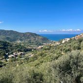 Frane e dissesto, al via il cantiere da 3 milioni per salvare Iannello Inferiore: via libera al consolidamento del versante ovest di Brolo Frane e dissesto, al via il cantiere da 3 milioni per salvare Iannello Inferiore: via libera al consolidamento del versante ovest di Brolo