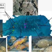 Capo Mulini, il relitto romano che riscrive la storia dei commerci nel Mediterraneo