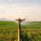 Confagricoltura - Acquacoltura: il caldo colpisce le produzioni. API chiede interventi per superare l'emergenza Confagricoltura - Acquacoltura: il caldo colpisce le produzioni. API chiede interventi per superare l'emergenza