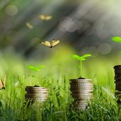 Quali sono i vantaggi per le aziende di adottare gli European Sustainability Reporting Standards (ESRS)
