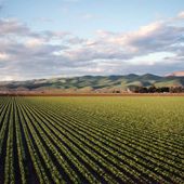 Clima, produttività, energia, aviaria, reddito e ricambio generazionale: le emergenze e le sfide delle imprese agricole per il 2025