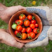 Meeting Rimini, il presidente di Confagricoltura Giansanti all’incontro “Food security e sostenibilità: cooperare per crescere”