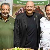 DIAMANTE. IL GILÒ DI BELVEDERE MARITTIMO TRA I PROTAGONISTI DEL FESTIVAL DEL PEPERONCINO