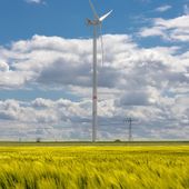 Confagricoltura incontra delegazione argentina: punti di convergenza e necessità di reciprocità