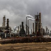 G20, alleanza sui biocarburanti. Confagricoltura: l’Europa non sia miope