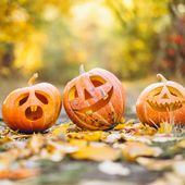 Halloween: Confesercenti-Ipsos, celebreranno 6 famiglie su 10. Spesa media 66,7 euro a famiglia