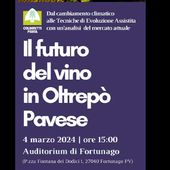 Il futuro del vino in Oltrepò Pavese