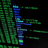 In Italia nel 2023 si sono registrati 310 attacchi hacker, ovvero il +65% rispetto all’anno precedente