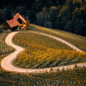 AGRIcoltura100: le imprese agricole italiane rafforzano gli investimenti in sostenibilità e innovazione per crescere