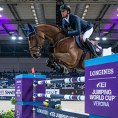 FIERACAVALLI 2024, IN SCENA IL MONDO EQUESTRE TRA SPORT,INTRATTENIMENTO, RASSEGNE ALLEVATORIALI E SHOW FIERACAVALLI 2024, IN SCENA IL MONDO EQUESTRE TRA SPORT,INTRATTENIMENTO, RASSEGNE ALLEVATORIALI E SHOW