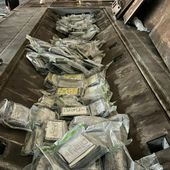 Gioia Tauro, polizia sequestra 137 kg di cocaina
