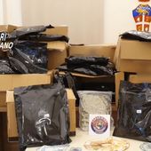 Blitz contro il narcotraffico, 12 arresti e 17 fermi