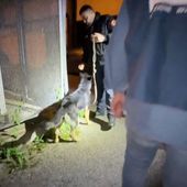 Dieci arresti nel Salernitano per scambio elettorale politico mafioso