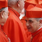 Papa, per Congregazione cardinali bene passo indietro di Becciu