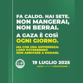 CNGEI, il 19 luglio gli scout digiunano per Gaza CNGEI, il 19 luglio gli scout digiunano per Gaza