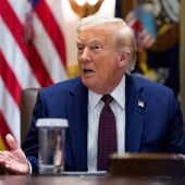 Trump “La guerra a Gaza danneggia l’immagine di Israele, deve finire”