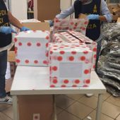 Bologna, sequestrate 500 kg di infiorescenze di canapa. Una denuncia