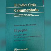 Il pegno, un’antica garanzia che sostiene il presente Il pegno, un’antica garanzia che sostiene il presente