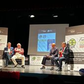 Spalletti “L’esperienza in Nazionale mi martella in testa”