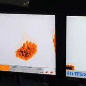 Traffico di eroina a Malpensa, sequestro per 1 milione e 7 arresti