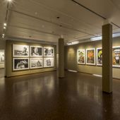 Alle Gallerie d’Italia di Vicenza la mostra “Cristina Mittermeier”