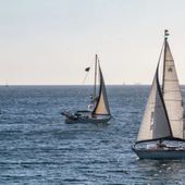 Flotilla, liberati i quattro parlamentari italiani Flotilla, liberati i quattro parlamentari italiani