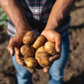 World Food Day, “Potatoes Forever!” celebra la sostenibilità World Food Day, “Potatoes Forever!” celebra la sostenibilità