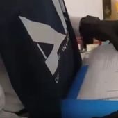 ‘Ndrangheta, arrestati 8 affiliati nel Bolognese, sequestro beni 1,5 mln ‘Ndrangheta, arrestati 8 affiliati nel Bolognese, sequestro beni 1,5 mln