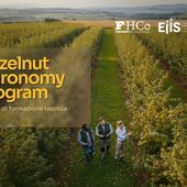 Al via l’Hazelnut Agronomy Program promosso da Ferrero, Eiis e Conaf Al via l’Hazelnut Agronomy Program promosso da Ferrero, Eiis e Conaf