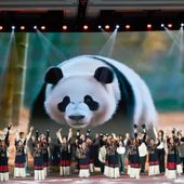 Cina: popolazione di panda giganti in cattività quasi raddoppiata in un decennio