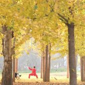 Cina: aspettativa di vita media raggiunge i 79 anni nel 2024