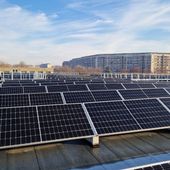 Torino, la città dove la posta viaggia a energia pulita