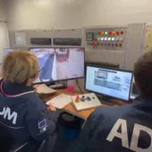 Sequestrati 248 chili di cocaina al porto di Gioia Tauro Sequestrati 248 chili di cocaina al porto di Gioia Tauro