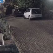 Furti in abitazione nel veronese, fermata banda di 4 albanesi Furti in abitazione nel veronese, fermata banda di 4 albanesi