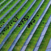 Cina, nel Sichuan attivato importante progetto fotovoltaico ad alta quota