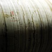 Terremoti, scossa 5.1 al largo della Costa Ionica della Calabria. Nessun danno