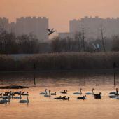 Ambiente, migliorano i parametri in Cina nel 2025